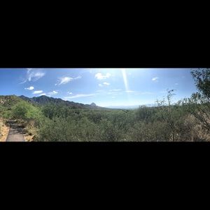 Meet your Posher, Violeta